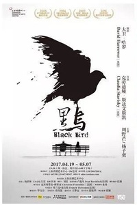 劳伦斯奥利弗奖获奖作品 《黑鸟》