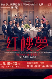非常林奕华历时八年铸造《红楼梦》四大名著系列最终章 二零一七 春到梦回