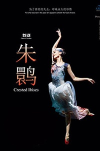 2017舞剧演出季之朱鹮